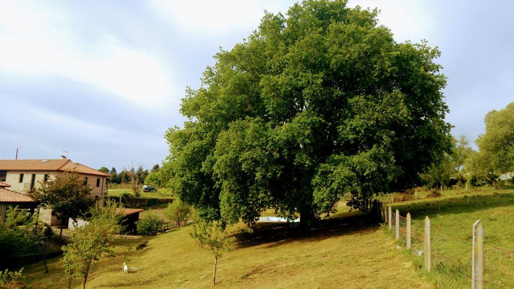 Caserio De Fontes Nogueira De Ramuin Esterno foto