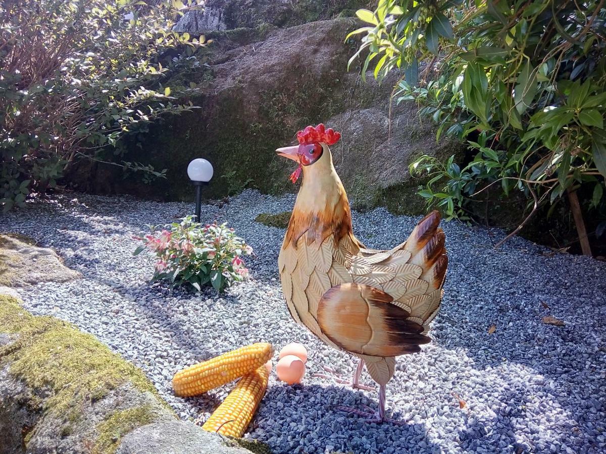 Caserio De Fontes Nogueira De Ramuin Esterno foto